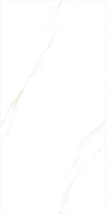 Time Cielo Polished 24 x 48